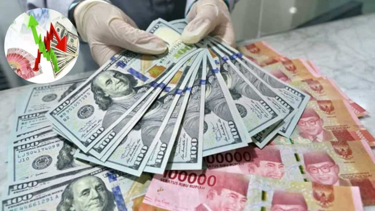 WhatsApp Image 2023-10-11 at 12.05.03