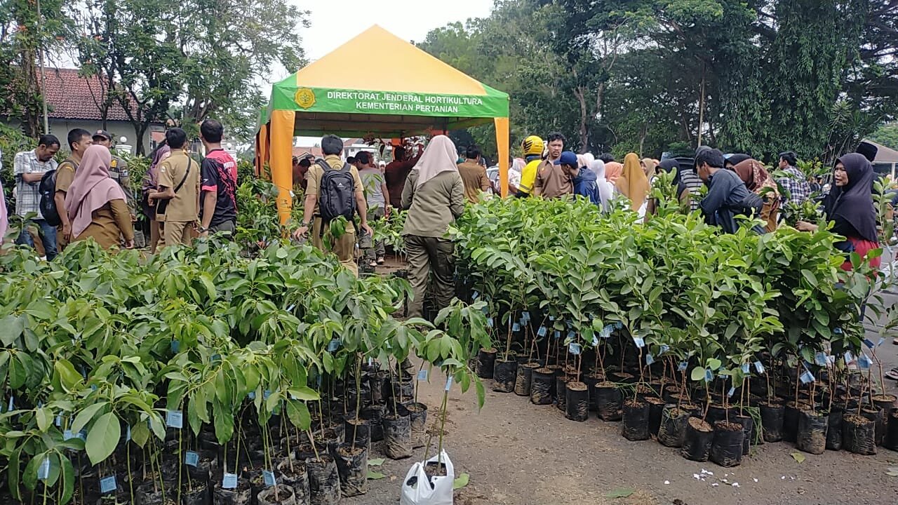 WhatsApp Image 2023-10-31 at 14.33.03