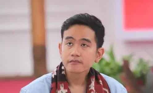 WhatsApp Image 2023-12-11 at 11.16.58