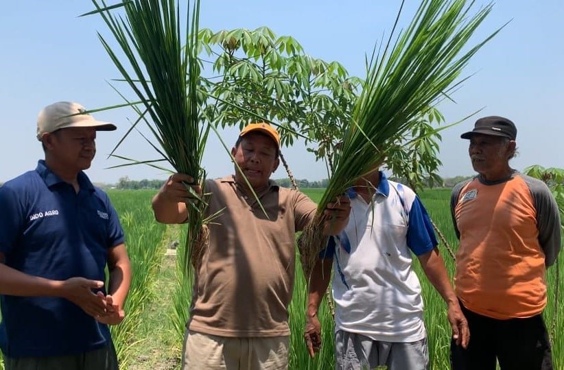 WhatsApp Image 2024-01-08 at 14.31.50