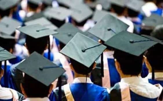 WhatsApp Image 2024-06-30 at 15.57.39