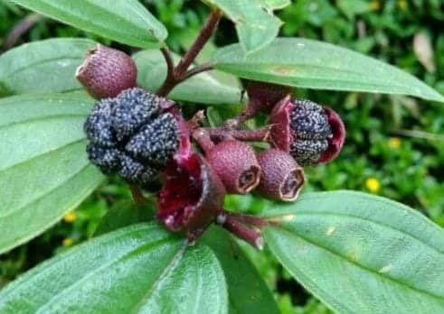 WhatsApp Image 2024-07-04 at 15.08.33