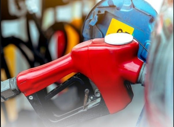 WhatsApp Image 2024-09-02 at 11.54.38