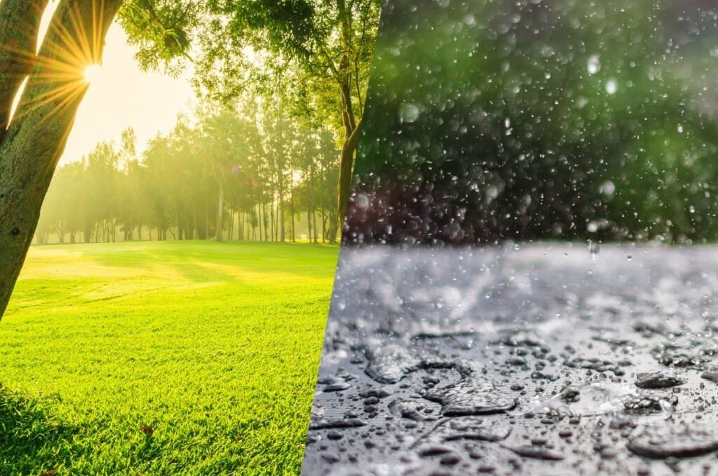 WhatsApp Image 2025-06-19 at 13.17.01_b92ade96