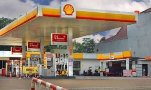 WhatsApp Image 2025-10-28 at 17.09.16