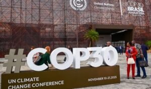 WhatsApp Image 2025-11-20 at 14.53.00