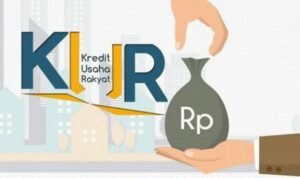 WhatsApp Image 2025-11-26 at 14.55.24