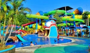 WhatsApp Image 2025-11-29 at 13.56.59