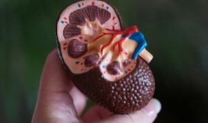 robina-weermeijer--szKjHyPq28-unsplash