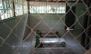 83980558_2534839999977962_4539293099112792064_n