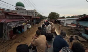 WhatsApp Image 2025-11-29 at 07.16.22