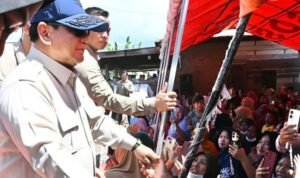 WhatsApp Image 2025-12-02 at 09.36.56