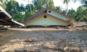 WhatsApp Image 2025-12-02 at 09.41.49