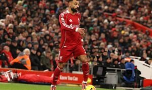 WhatsApp Image 2025-12-04 at 11.30.53