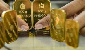 WhatsApp Image 2025-12-08 at 13.37.27