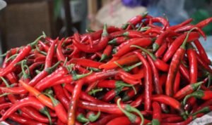 berita_20250110020806