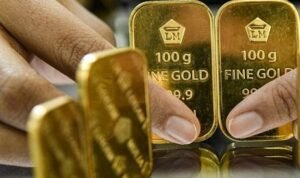 WhatsApp Image 2026-01-26 at 10.37.50