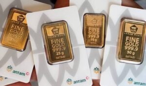 WhatsApp Image 2026-02-01 at 13.16.45