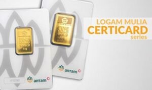 WhatsApp Image 2026-02-23 at 13.52.38