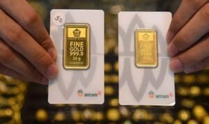 WhatsApp Image 2026-03-01 at 15.45.34