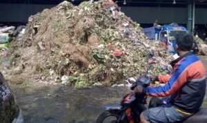 WhatsApp Image 2026-04-11 at 17.29.50